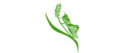 Logo Chelsea Green Publishing