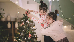 Everything you need to know about Christmas trees