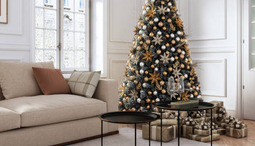 How to find and where to buy Christmas trees in 2022?