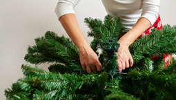 Are artificial Christmas trees better than live Christmas trees?